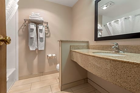 ACCESSIBLE - 1 DOUBLE,MOBILITY ACCESSIBLE,BATHTUB,NSMK,FULL BREAKFAST