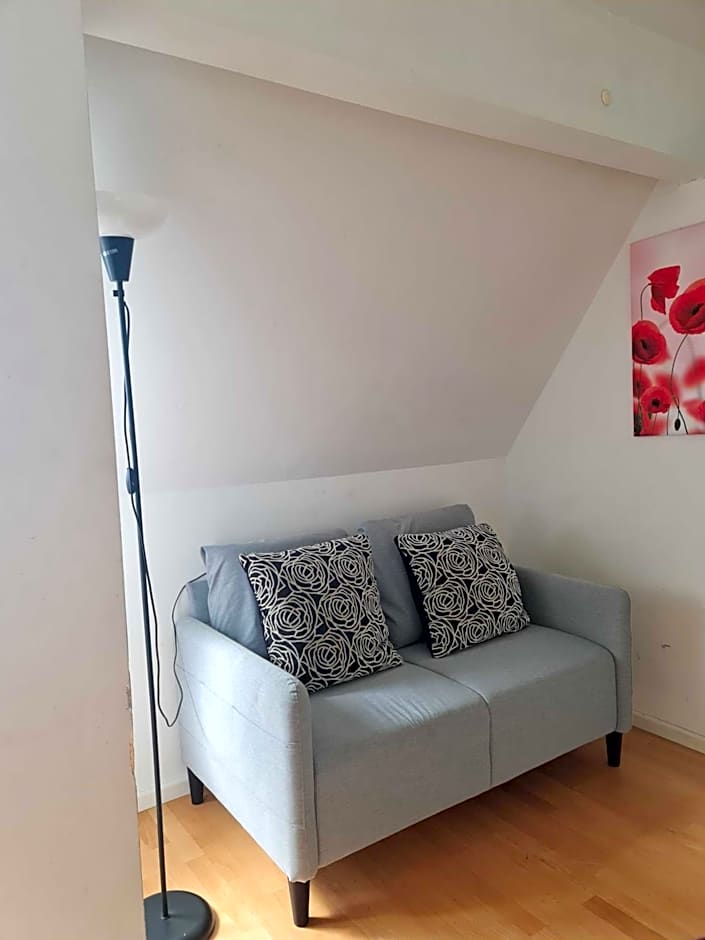 Simplex Apartments Am Ludwigsplatz