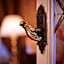 Palazzo Paruta & Wellness Suites