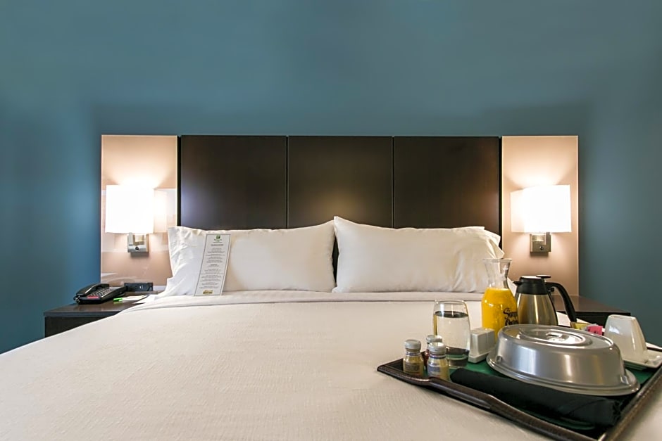 Holiday Inn Hotel & Suites Chattanooga Downtown By IHG