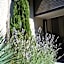 TOP CountryLine Hotel Ritter Badenweiler