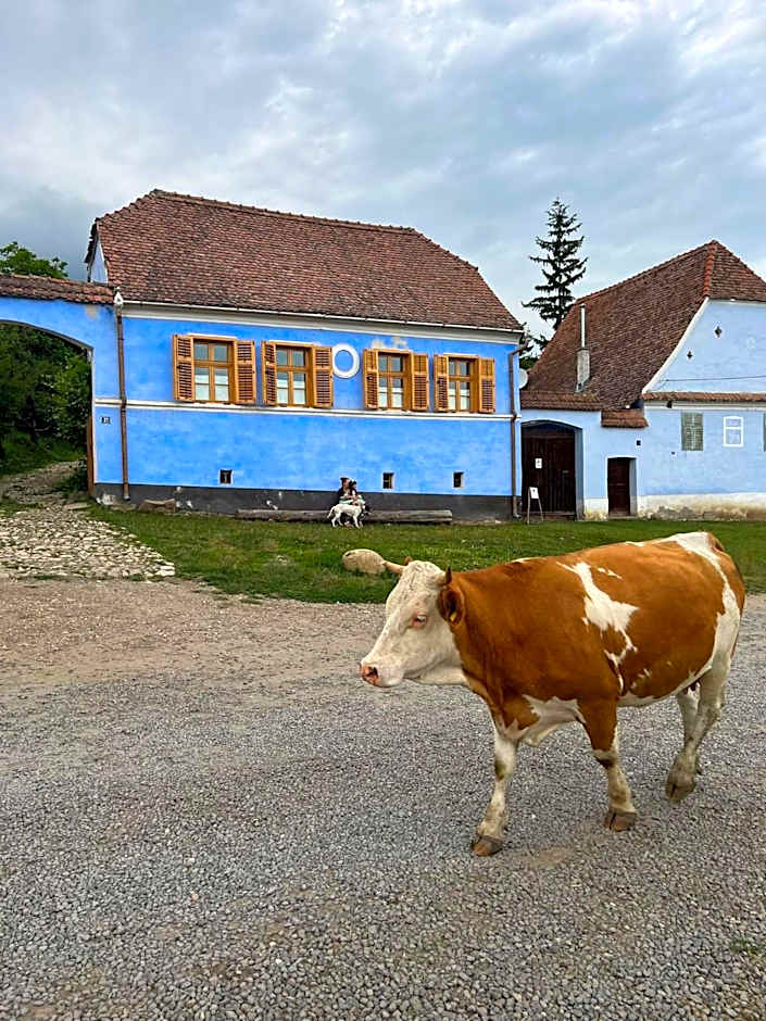Viscri 32 - White Barn and Blue House