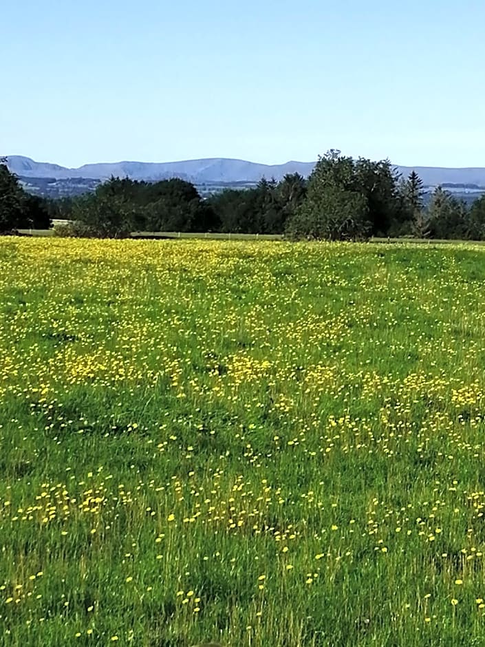 Lake District and Eden Valley Thornhill Lodge