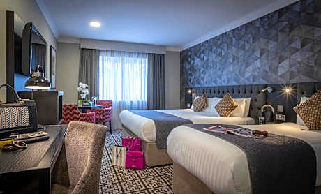 Deluxe Double or Twin Room