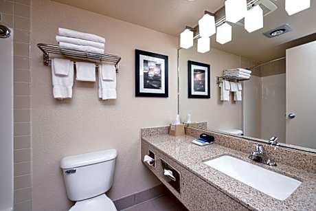 1 King Bed, Non-Smoking, Exterior Room, High Speed Internet Access, Coffee Maker, Continental Breakf