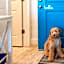 TRUE BLUE-Coastal cottage-3 min walk to beach! POOL!