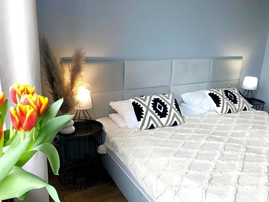 Saskia Dwór & Spa Willa z basenem