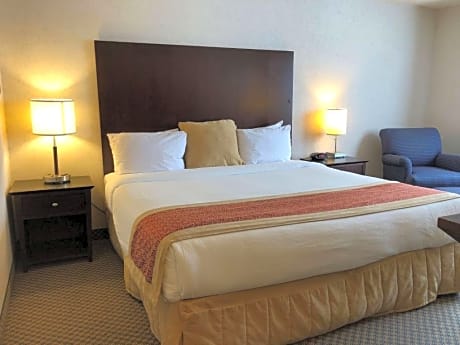 1 King Bed Non-Smoking Tower Desk Microwave Fridge Wi-Fi