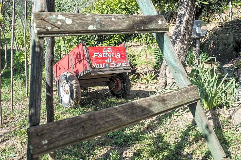 La Fattoria di Nonna Eugenia