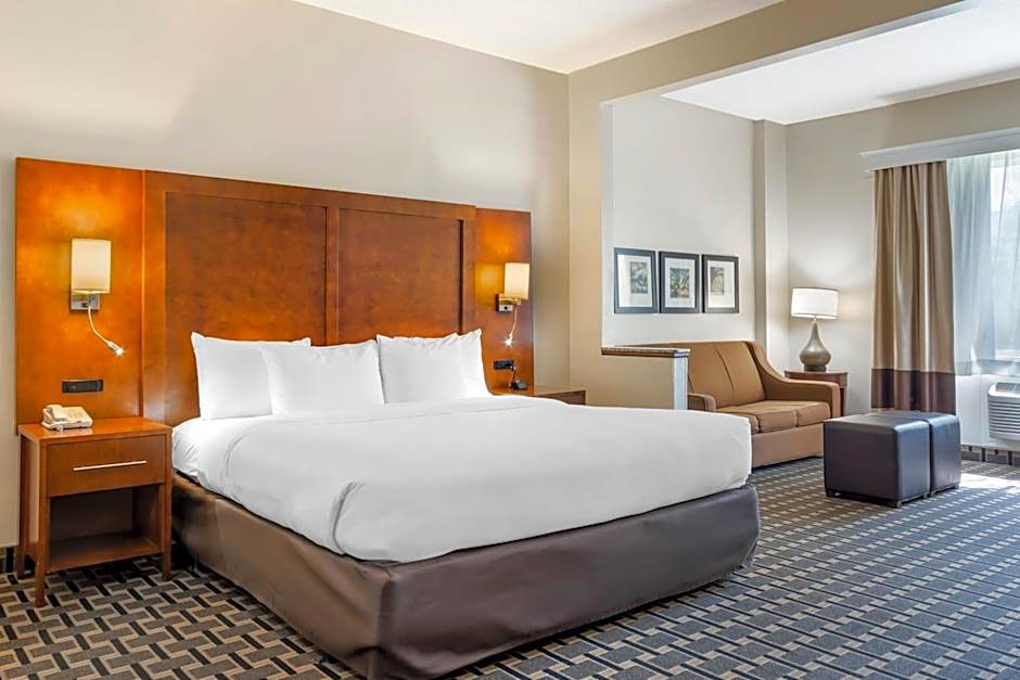 Comfort Inn Summerville - Charleston