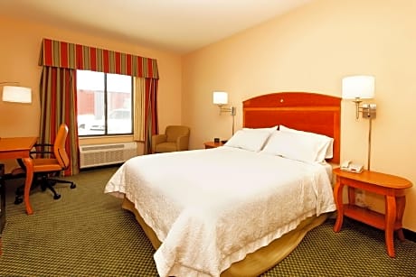 1 King Bed Non-Smoking