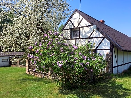 Samodzielny Dom Przy Lesie