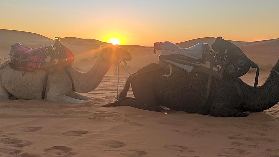Merzouga Quiet apart &camels trecking