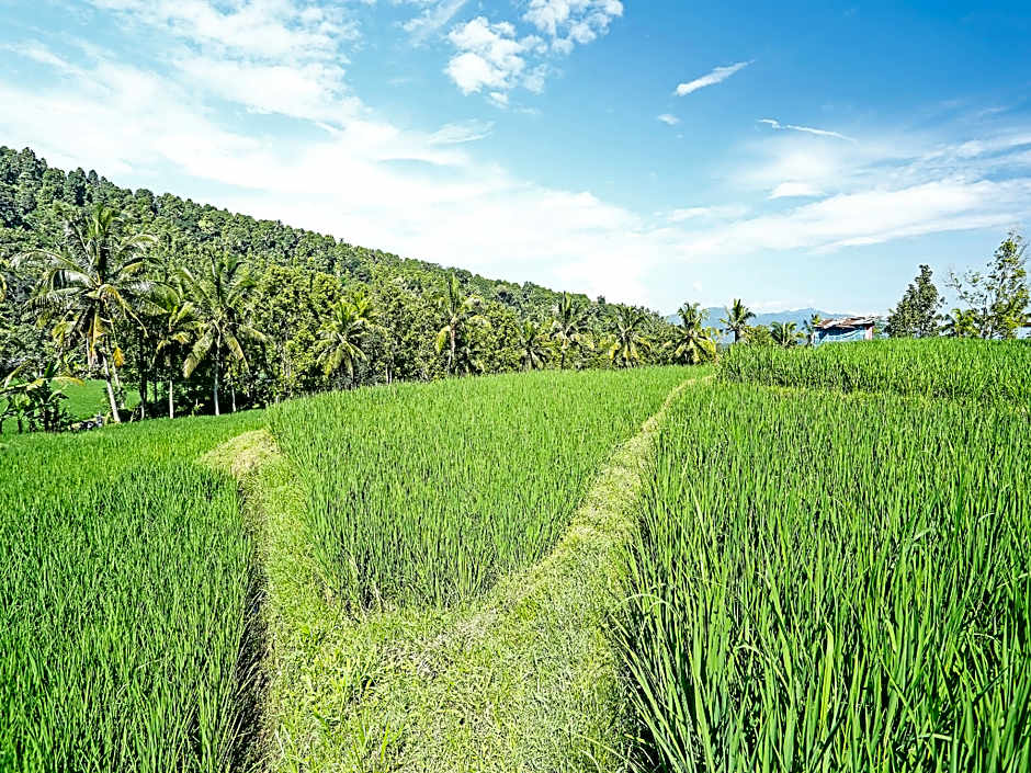 OYO Homes 91094 Desa Wisata Banyuatis
