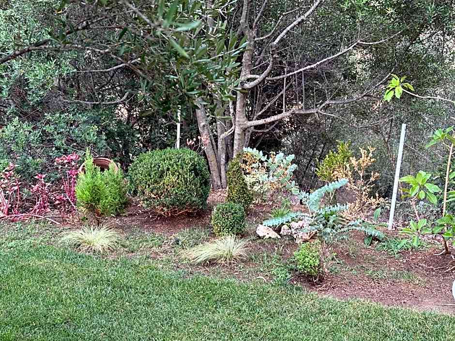 Villa DESIDERIA B&B