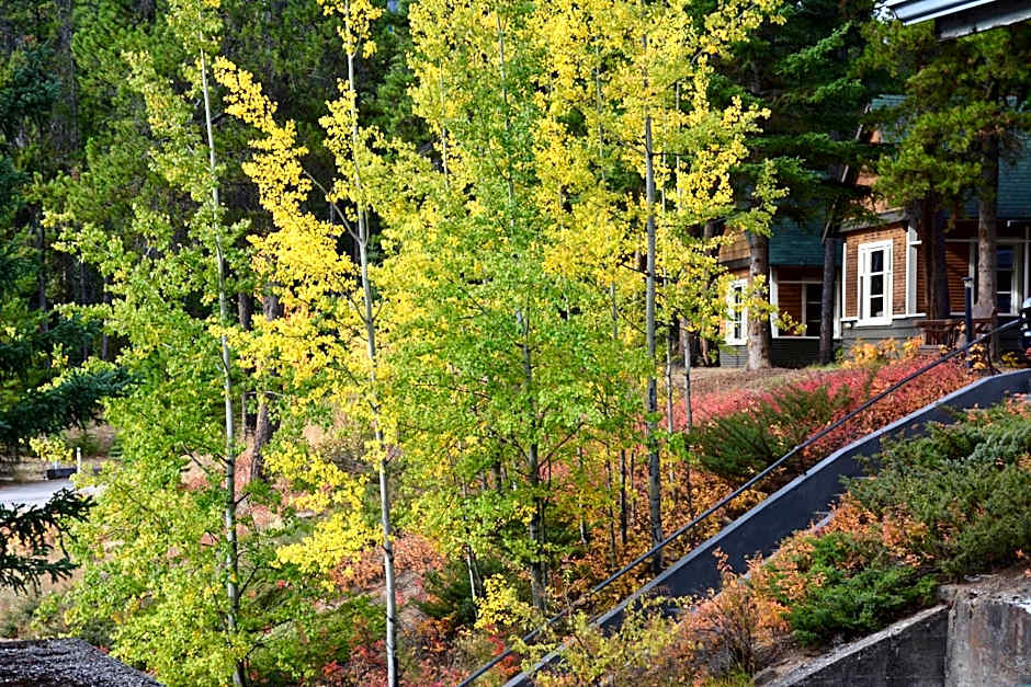 Johnston Canyon Lodge & Bungalows