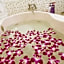 Hotel QT Minami Osaka -Adult Only