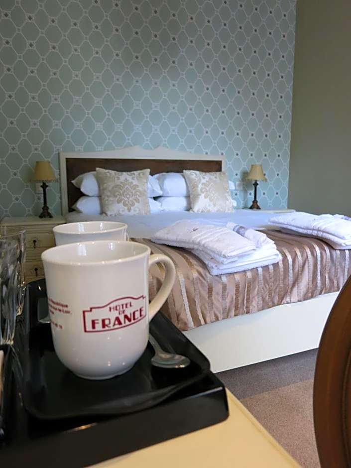 Logis Hotel De France