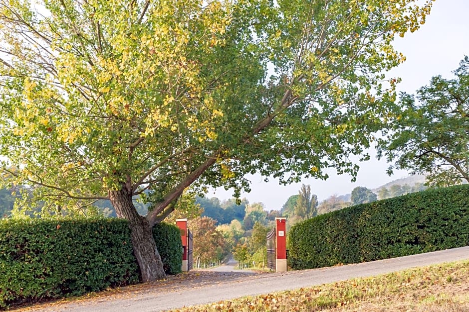Cà Palazzo Malvasia - BolognaRooms
