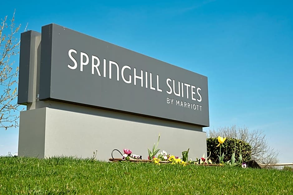 SpringHill Suites by Marriott Dallas Lewisville