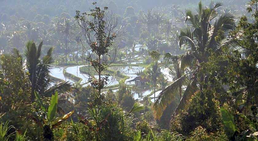 Lesong Hotel and Restaurant