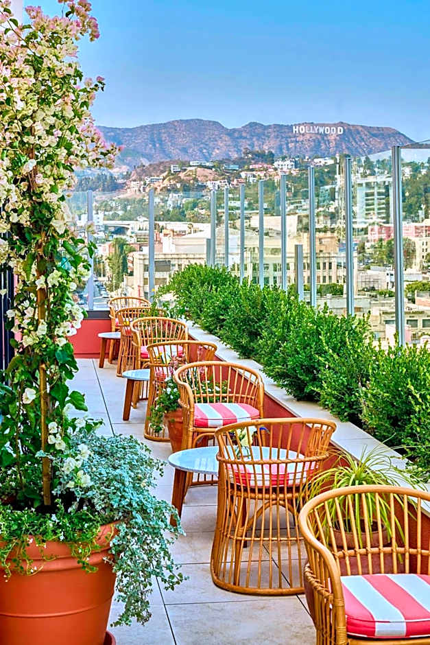 The Hollywood Grande, Autograph Collection