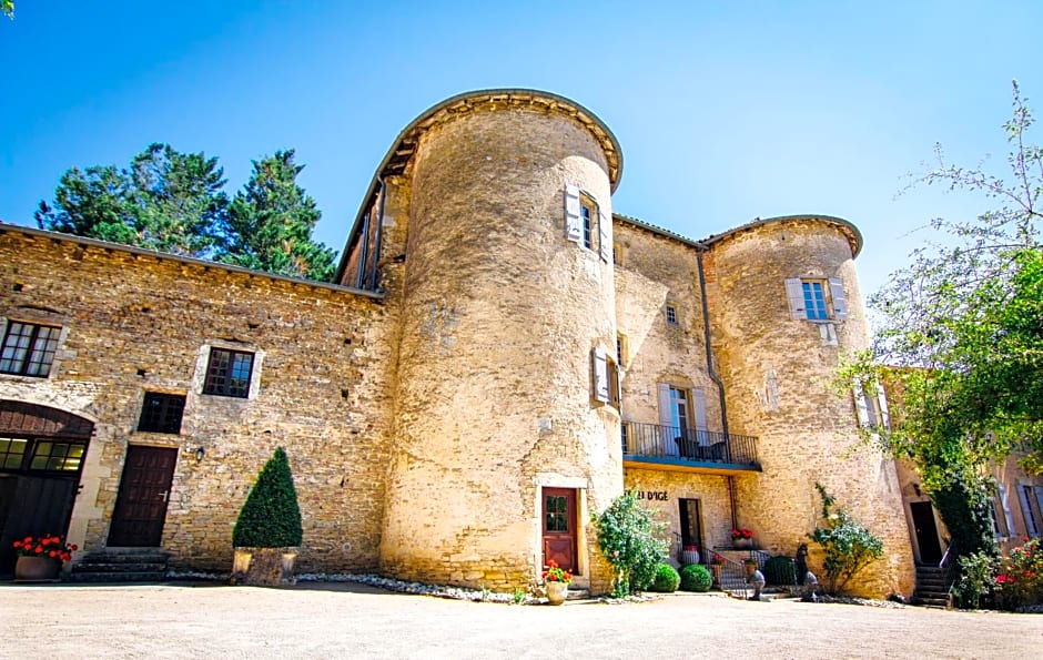 Château D'igé