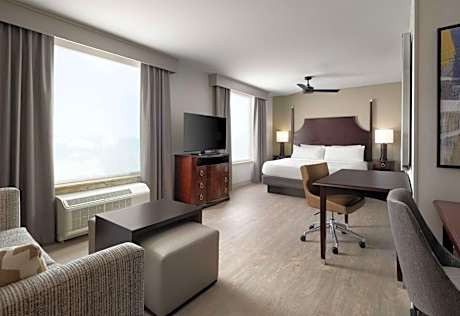 1 King Bed Studio Suite Nonsmoking