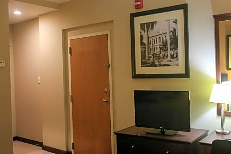 1 King Microwv/Fridge/Wet Bar Studio Suite Ns