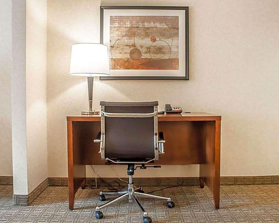 Comfort Inn & Suites Hamburg - Buffalo South
