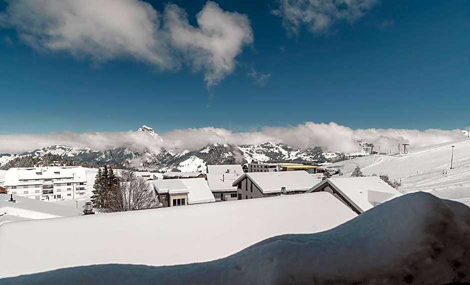 Caschu Alp Boutique Design Hotel Stoos - adults only