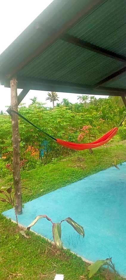 pulau weh sabang Coco jungle