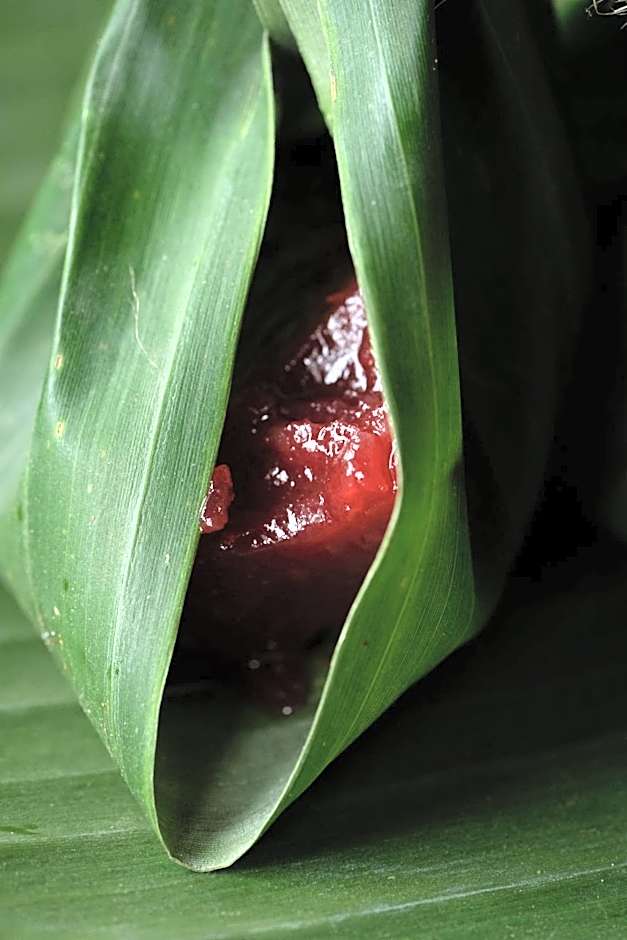 La Résidence Phou Vao