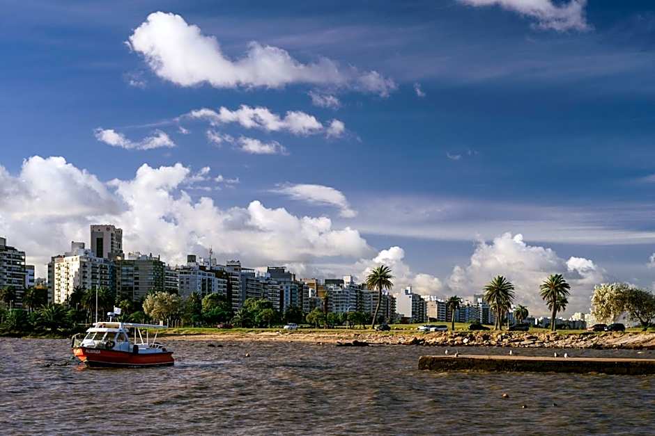 Own Montevideo