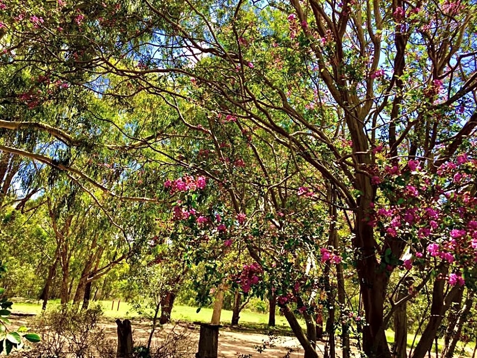Girraween Environmental Lodge