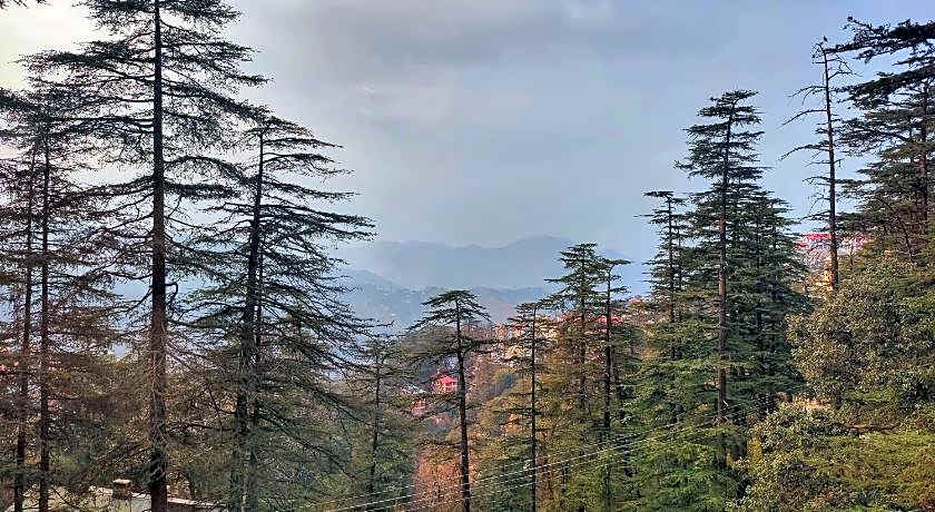 Royale Retreat Hotel And Spa Near Mall