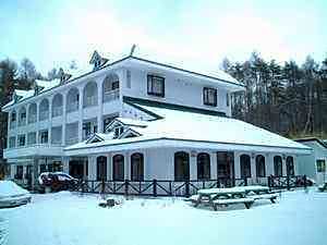 Green Plaza Hotel