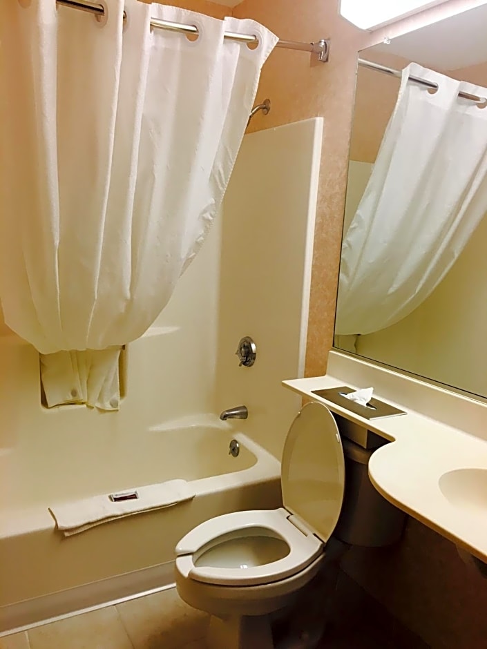 Microtel Inn & Suites by Wyndham Syracuse Baldwinsville