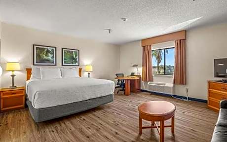 1 King Bed, Deluxe Room, Non-Smoking