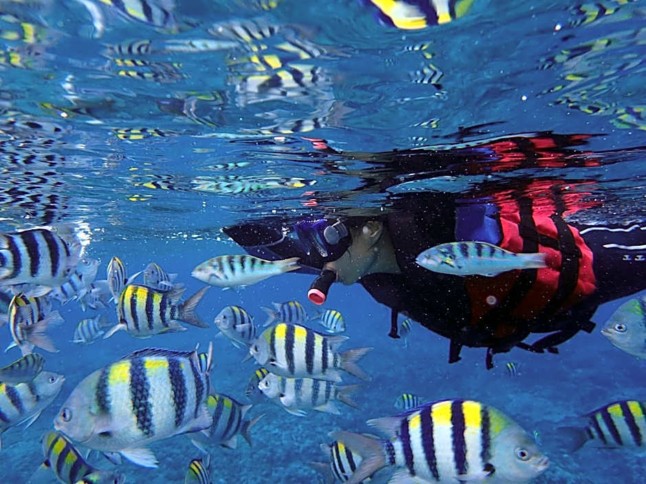 Good Viewing Spot B&B