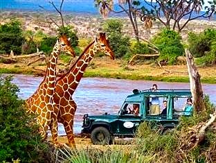 Samburu Intrepids Luxury Tented Camp Hotel