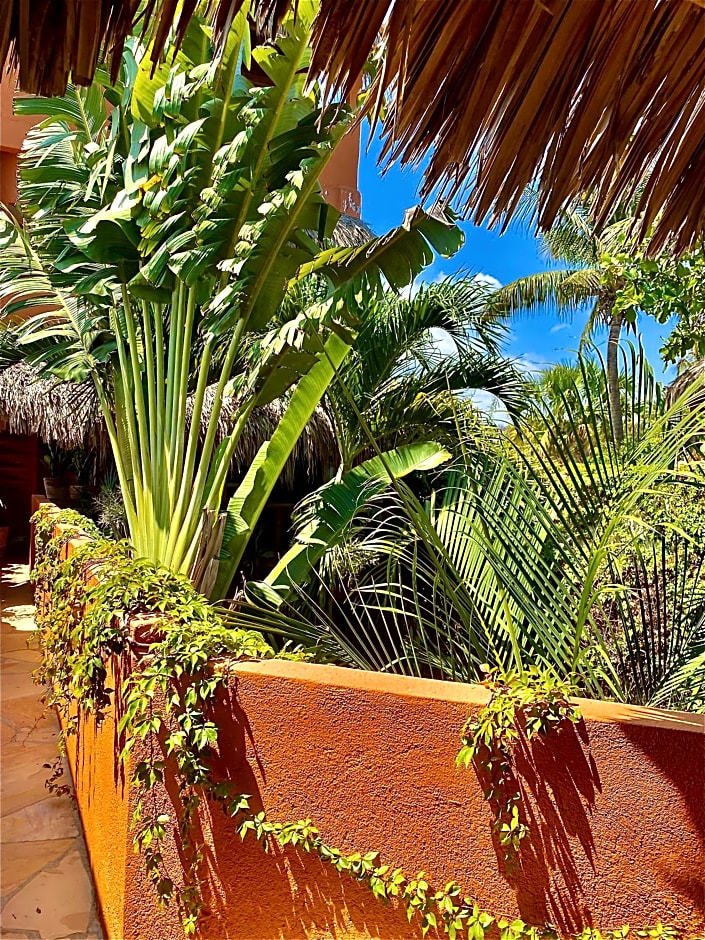 Hotel Casa Mixteca
