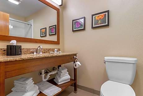 King Suite - Accessible/Non-Smoking