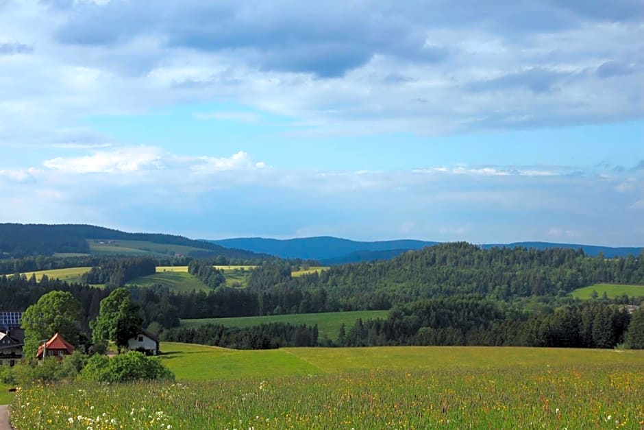 Ferienwohnungen Rebstock