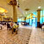 Elena Hotel and Wellness - All Inclusive