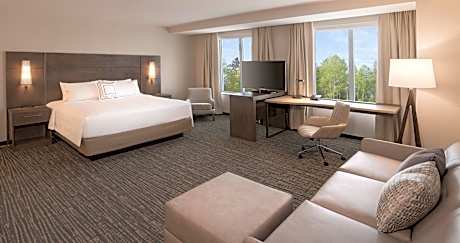 Studio with 1 king bed, 1 sofa bed