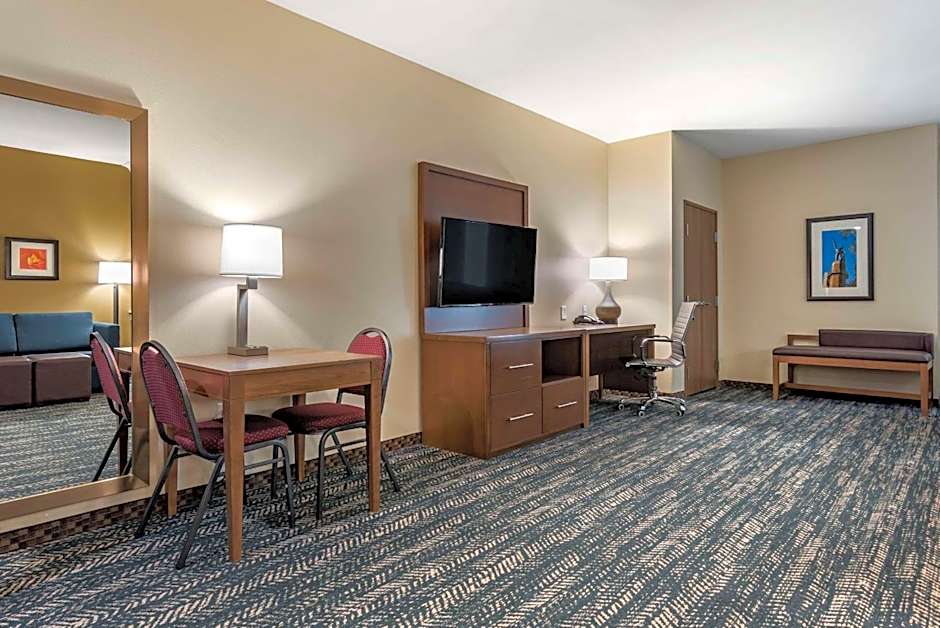 Comfort Inn & Suites Downtown near University