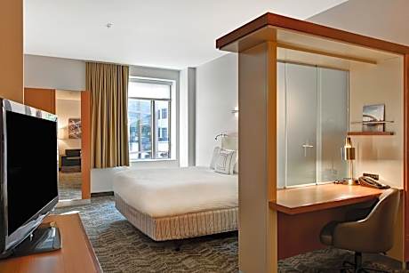 Studio, 1 King Bed with Sofa bed (1 King Bed and 1 Double Sofa Bed)