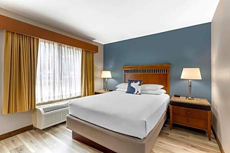 Queen Room with Roll-In Shower - Disability Access