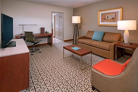 1 King Bed 2 Room Suite-Sofabed-Nonsmoking